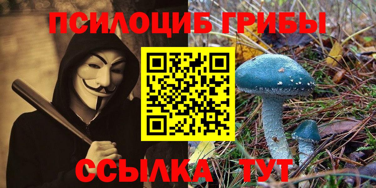 Псилоцибиновые грибы MAGIC MUSHROOMS  Вход с VPN  Галлюциногенные грибы Psilocybine cubensis  Чапаевск 